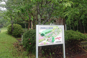 遊び場／与謝野町,上司谷公園(あじさい公園)